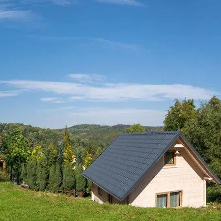 Na Lesnym Wzgorzu Holiday home *